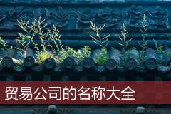 贸易公司的名称大全