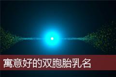 寓意好的双胞胎乳名