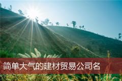 简单大气的建材贸易公司名