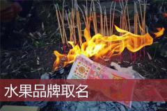 水果品牌取名