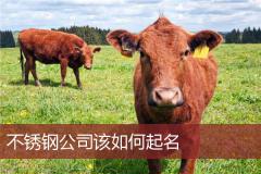 不锈钢公司该如何起名
