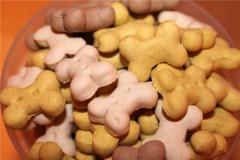 饲料店名字大全好听有创意